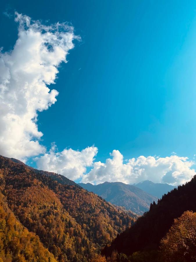 Seyr-I Cennet Dag Evleri Çamlıhemşin Exteriör bild