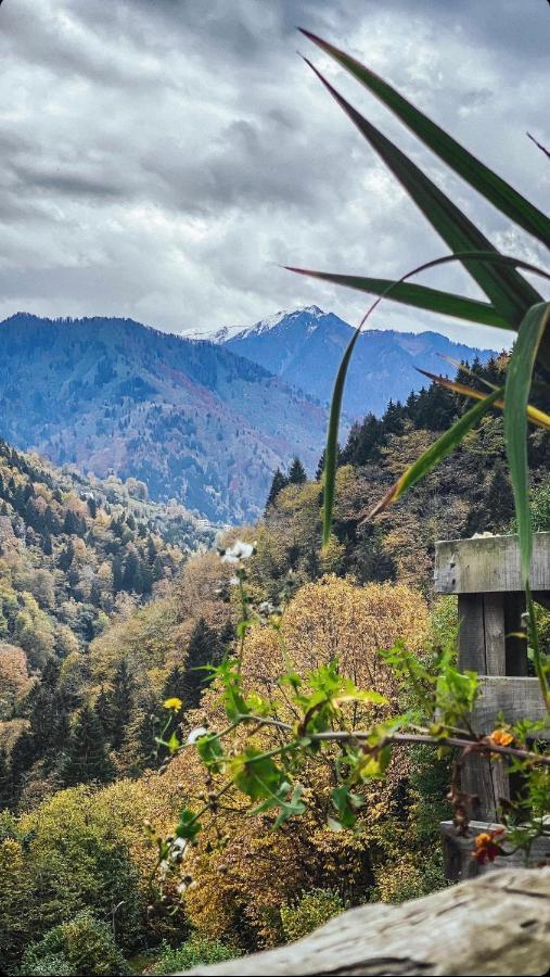Seyr-I Cennet Dag Evleri Çamlıhemşin Exteriör bild